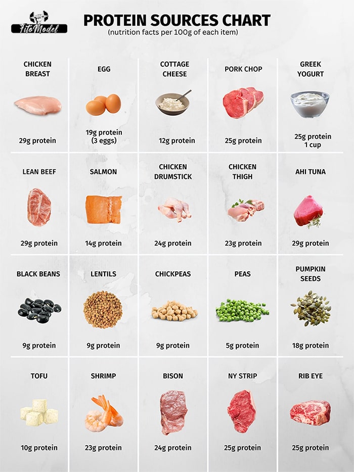 پروتئین مواد غذایی