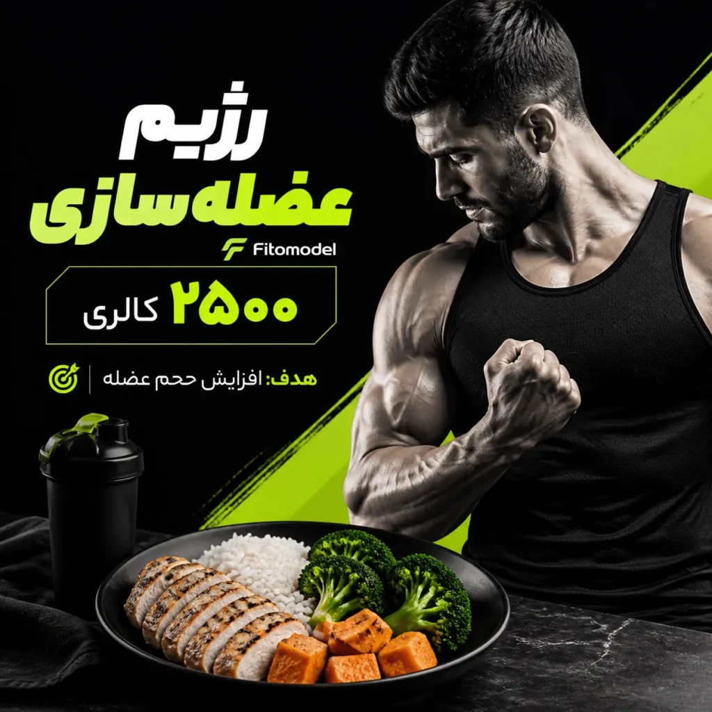رژیم عضله‌سازی برای ۲۵۰۰ کالری